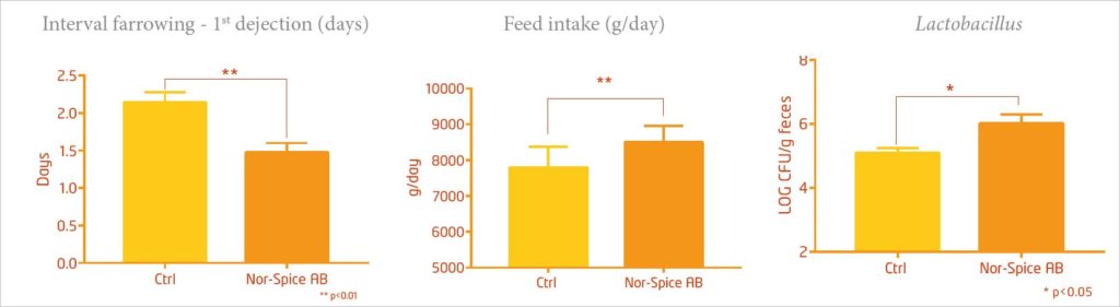 angband increase carry weight